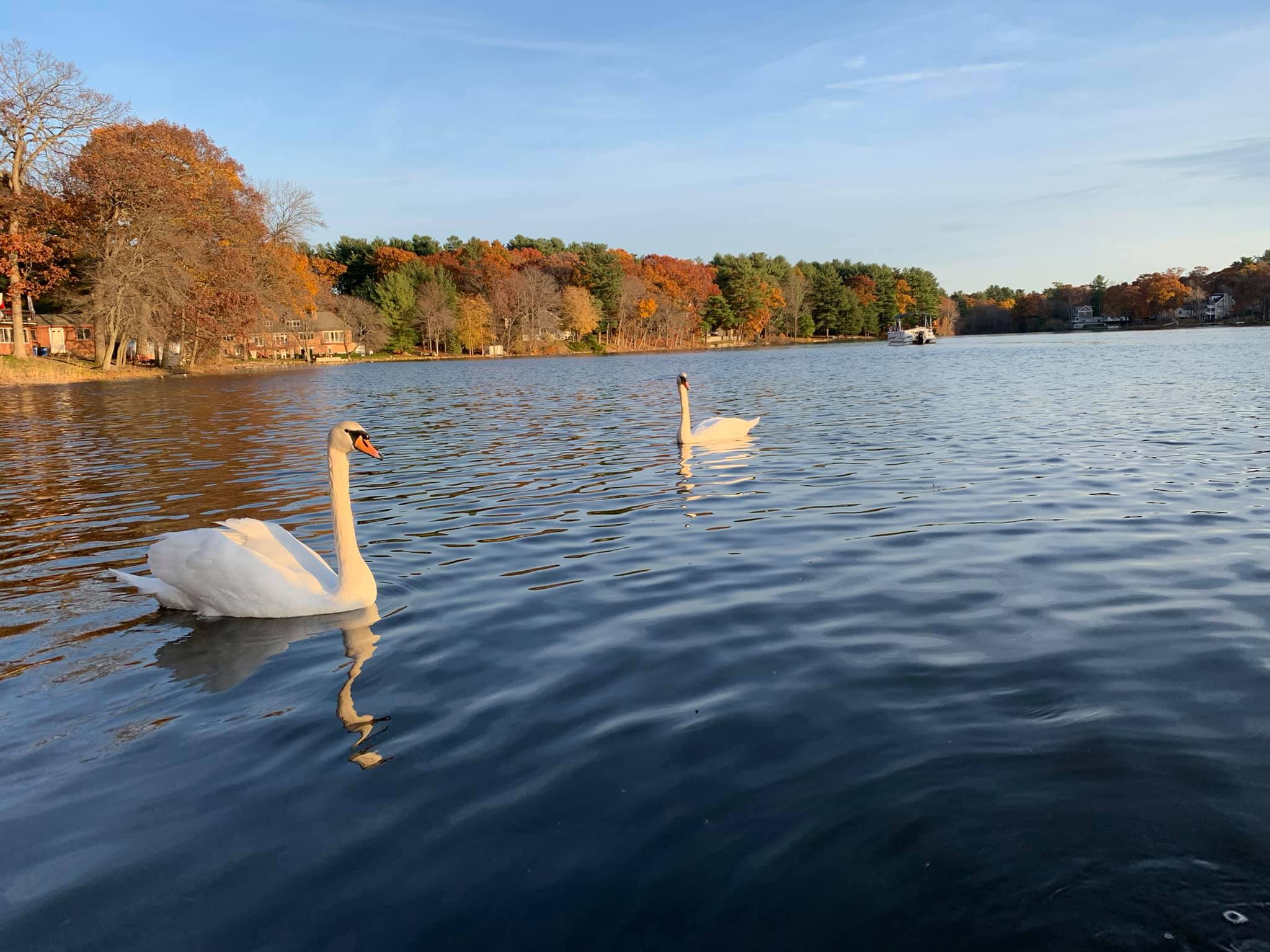 Pillings Pond — Lynnfield, Massachusetts